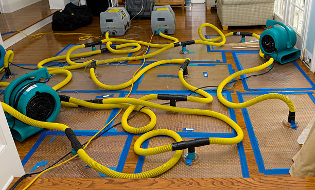 Professional Storm Water Damage Restoration technician working in Huntington, WV